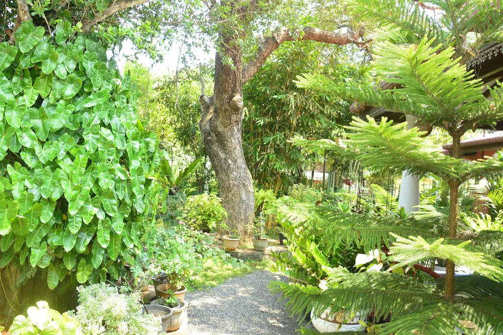 Livinginn Polonnaruwa Buitenkant foto