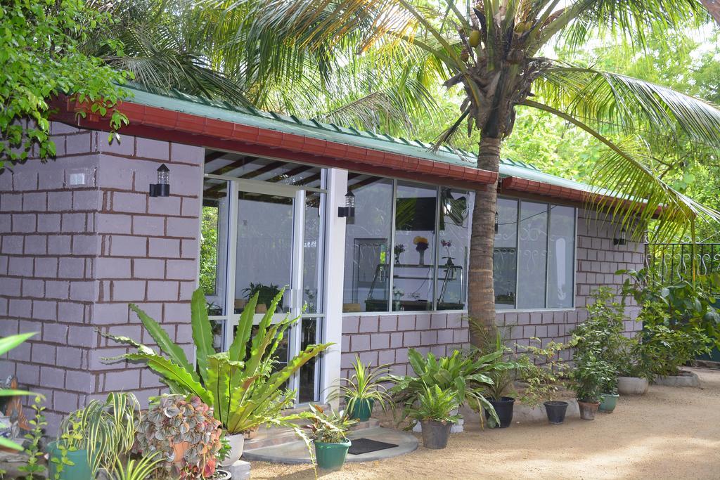Livinginn Polonnaruwa Buitenkant foto