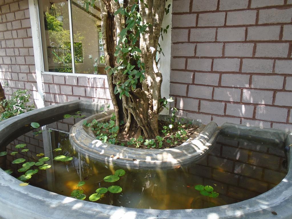 Livinginn Polonnaruwa Buitenkant foto